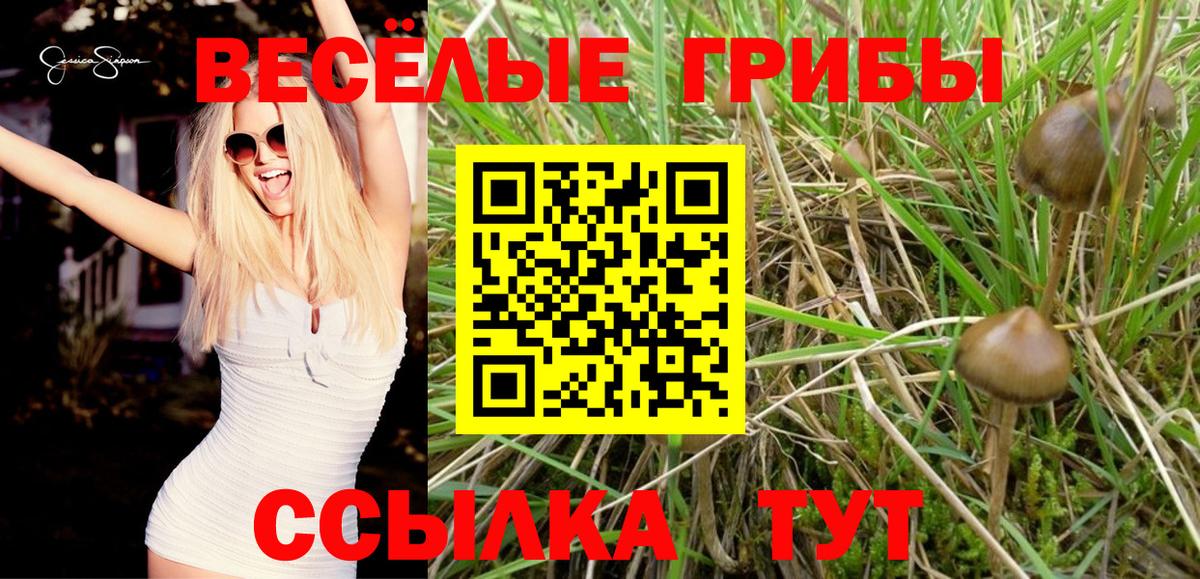 Галлюциногенные грибы MAGIC MUSHROOMS  Псилоцибиновые грибы Magic Shrooms  Полысаево  Вход с VPN 
