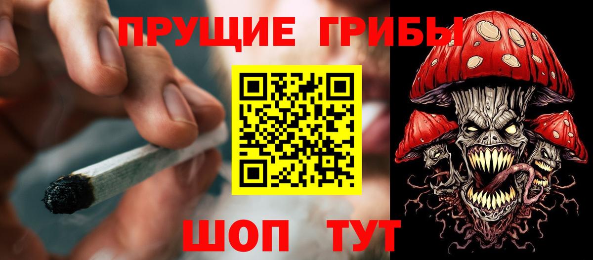 Псилоцибиновые грибы Psilocybe Полысаево